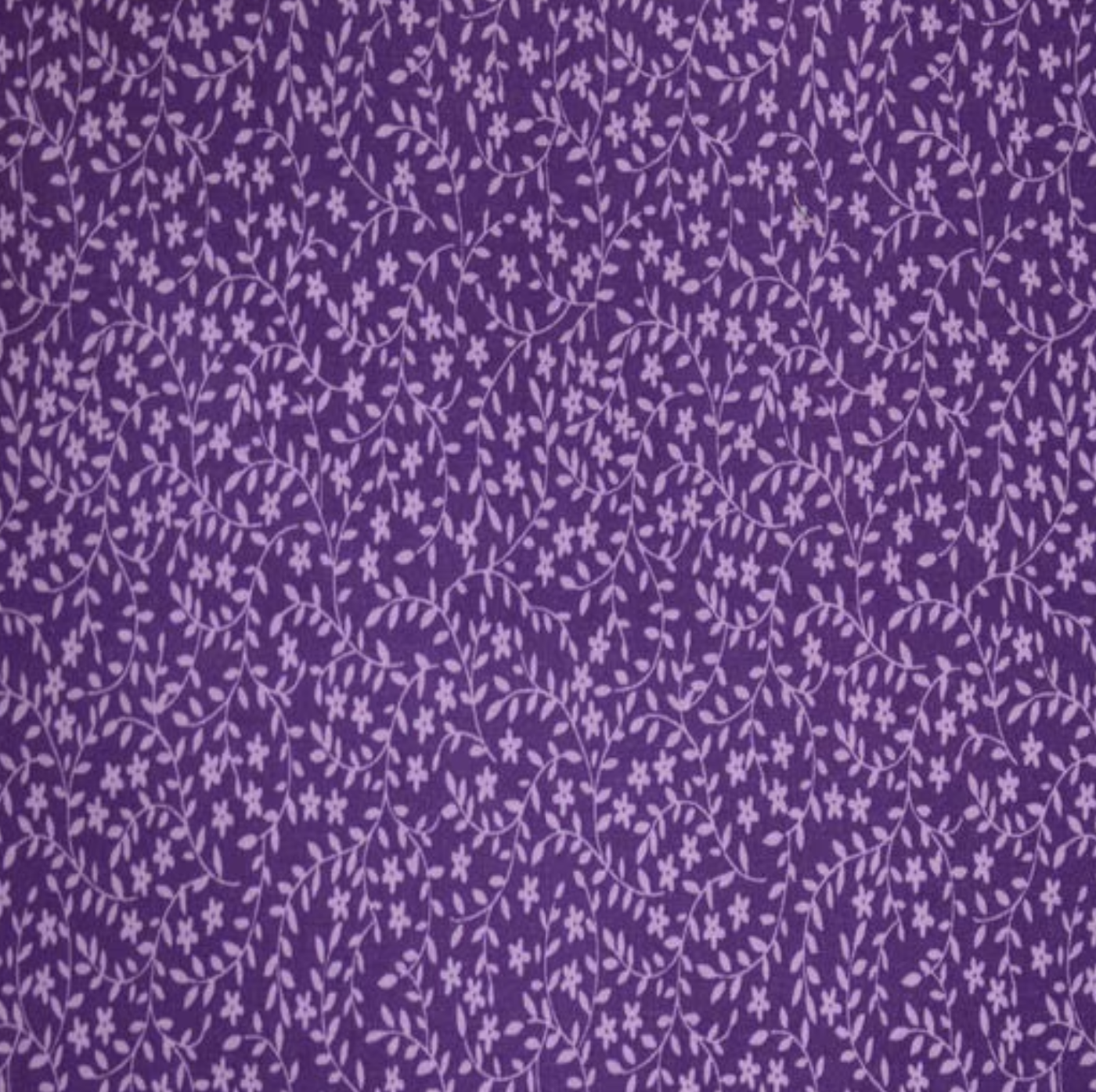 Purple Floral and Vines