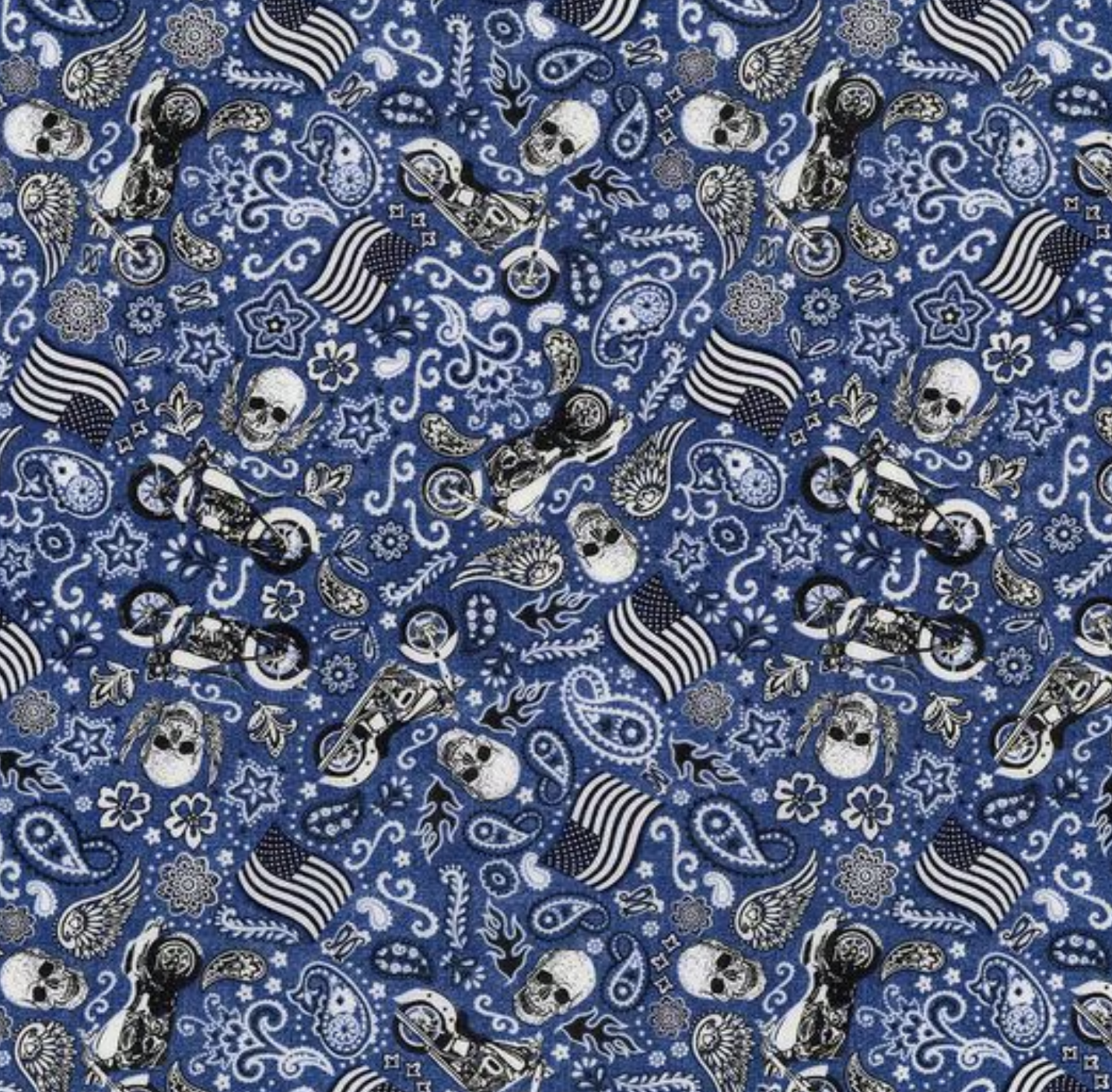 Skulls and Motorcycles