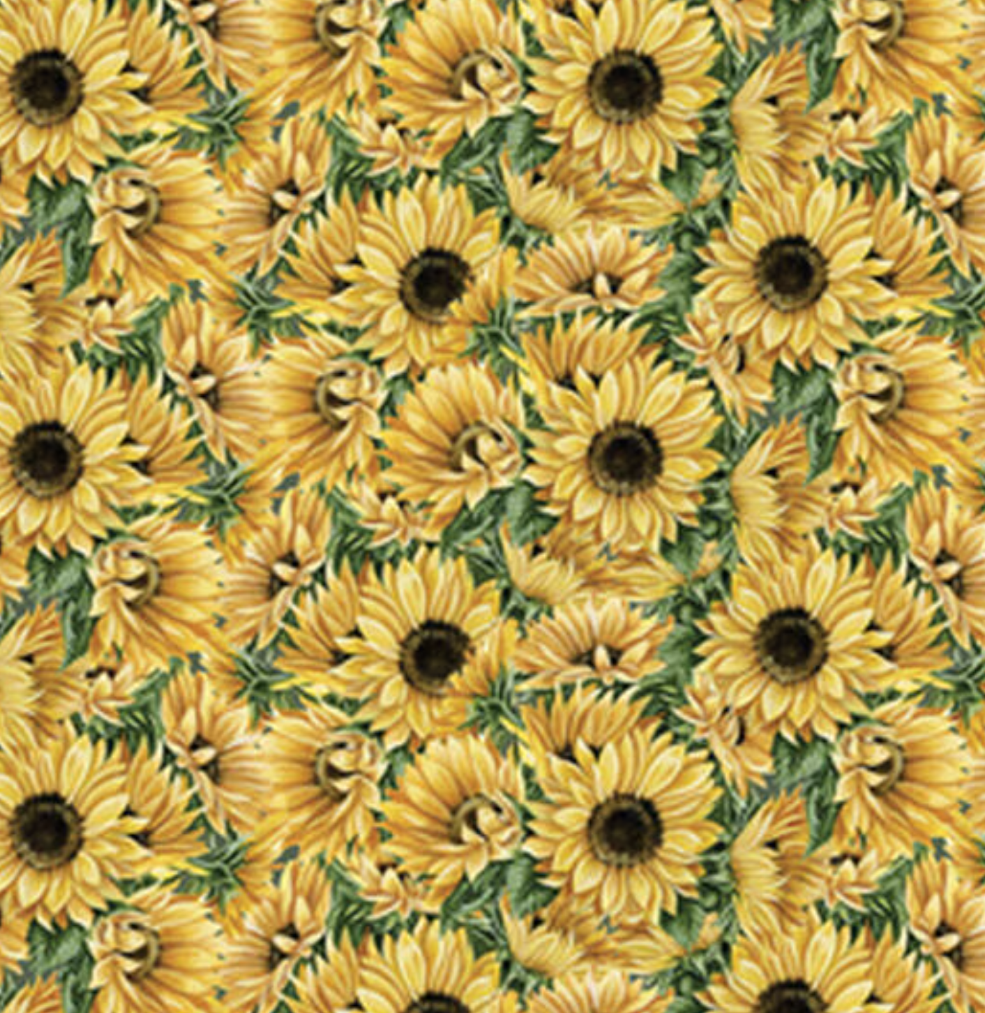 Sunflowers and Ferns