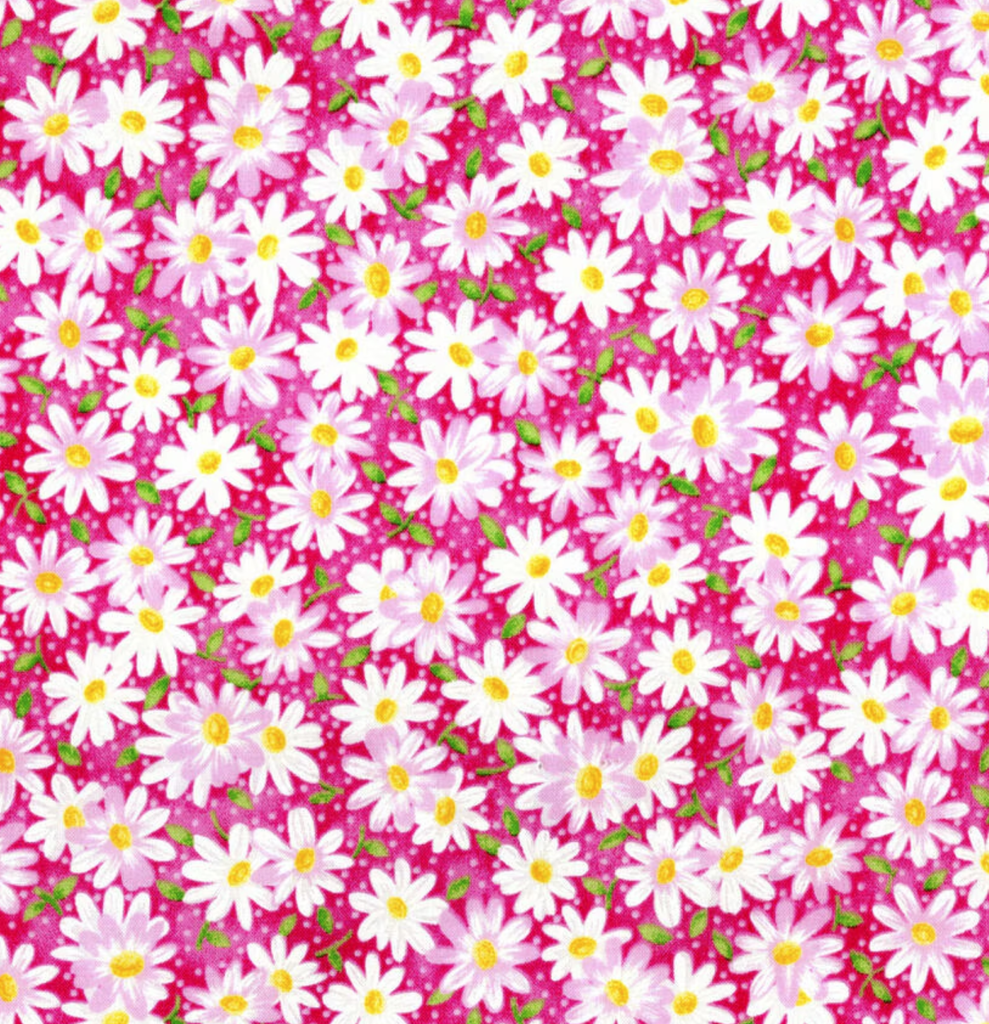 Daisies on Pink