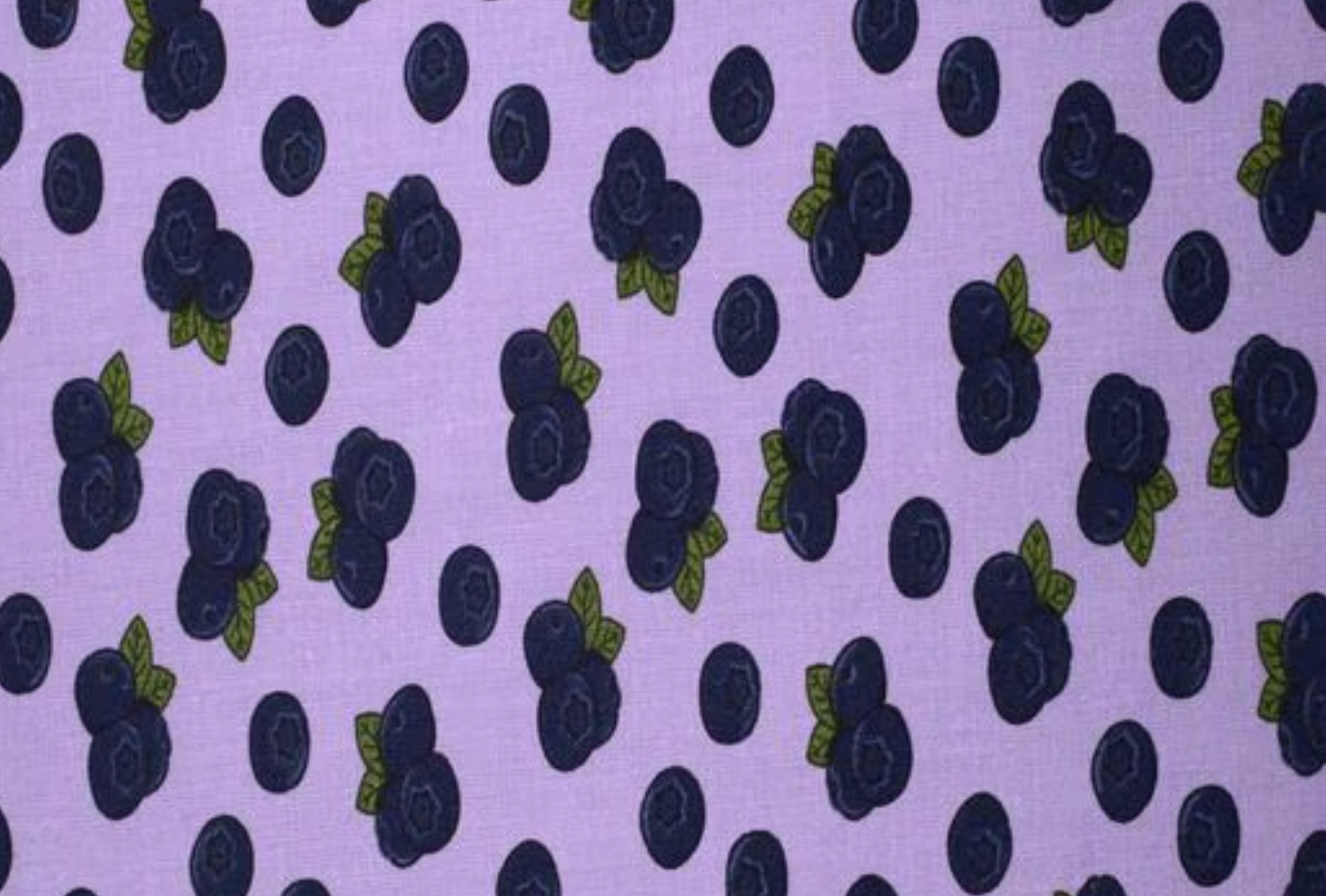 Blueberries on Purple