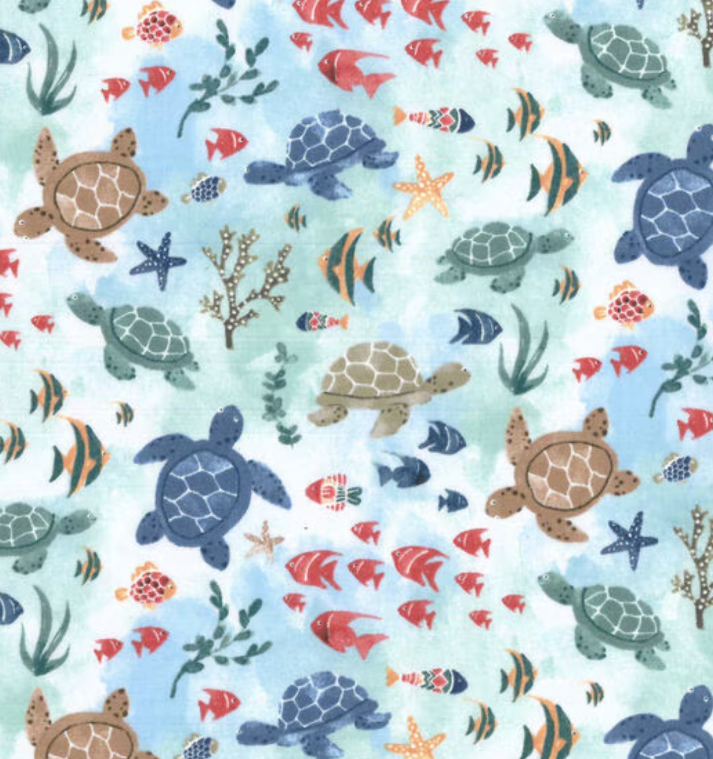 Sea Turtles and Friends