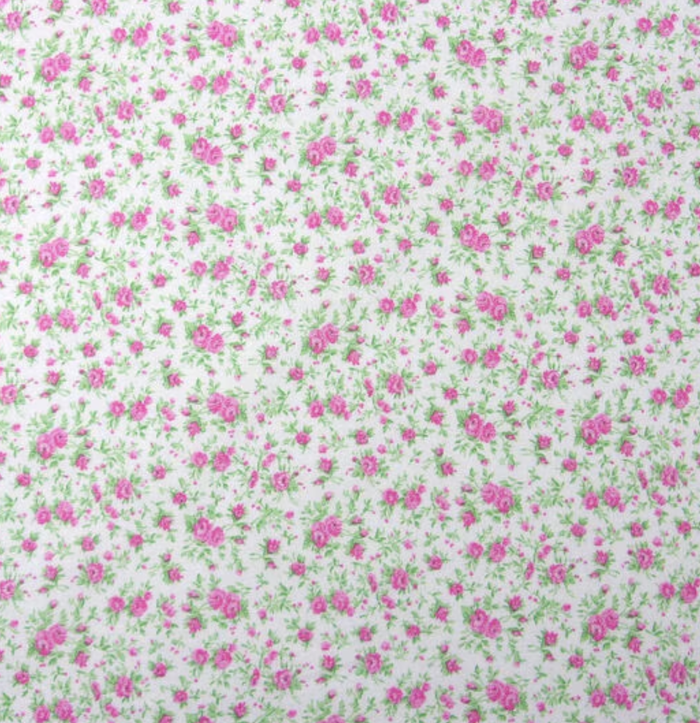 Pink Mini Rose