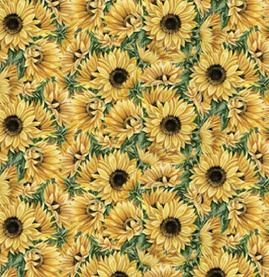 Sunflowers and Ferns