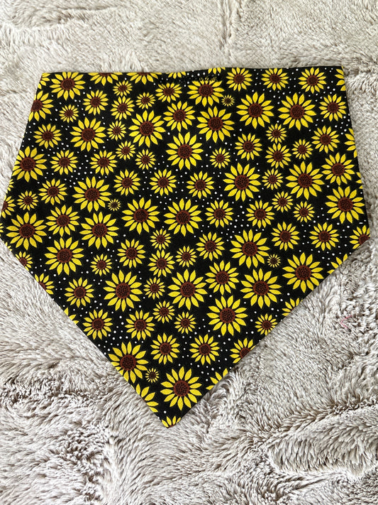 Midnight Sunflowers