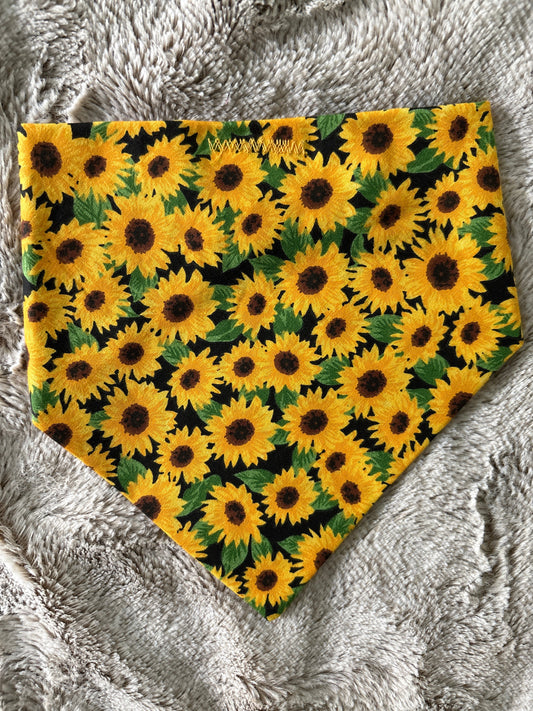 Sunflower Energy