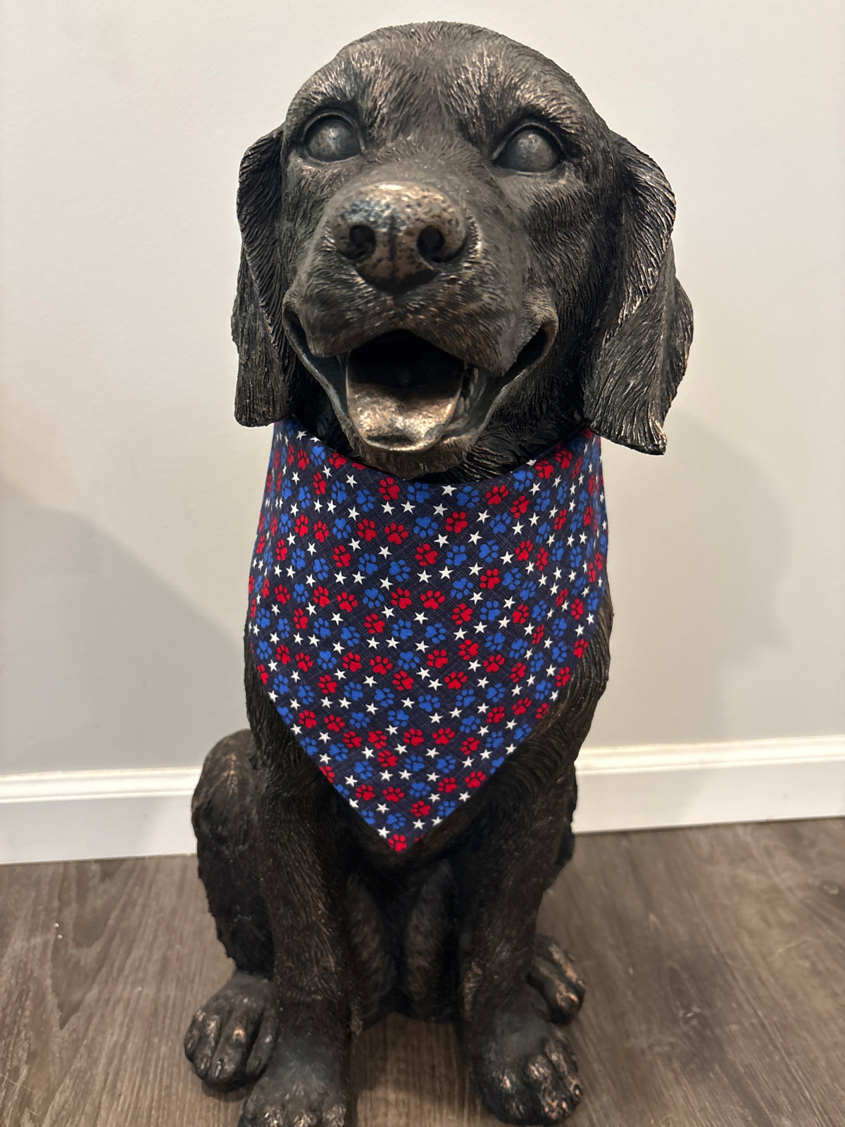 Paws and Pride