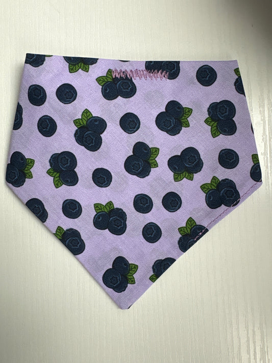 Blueberries on Purple