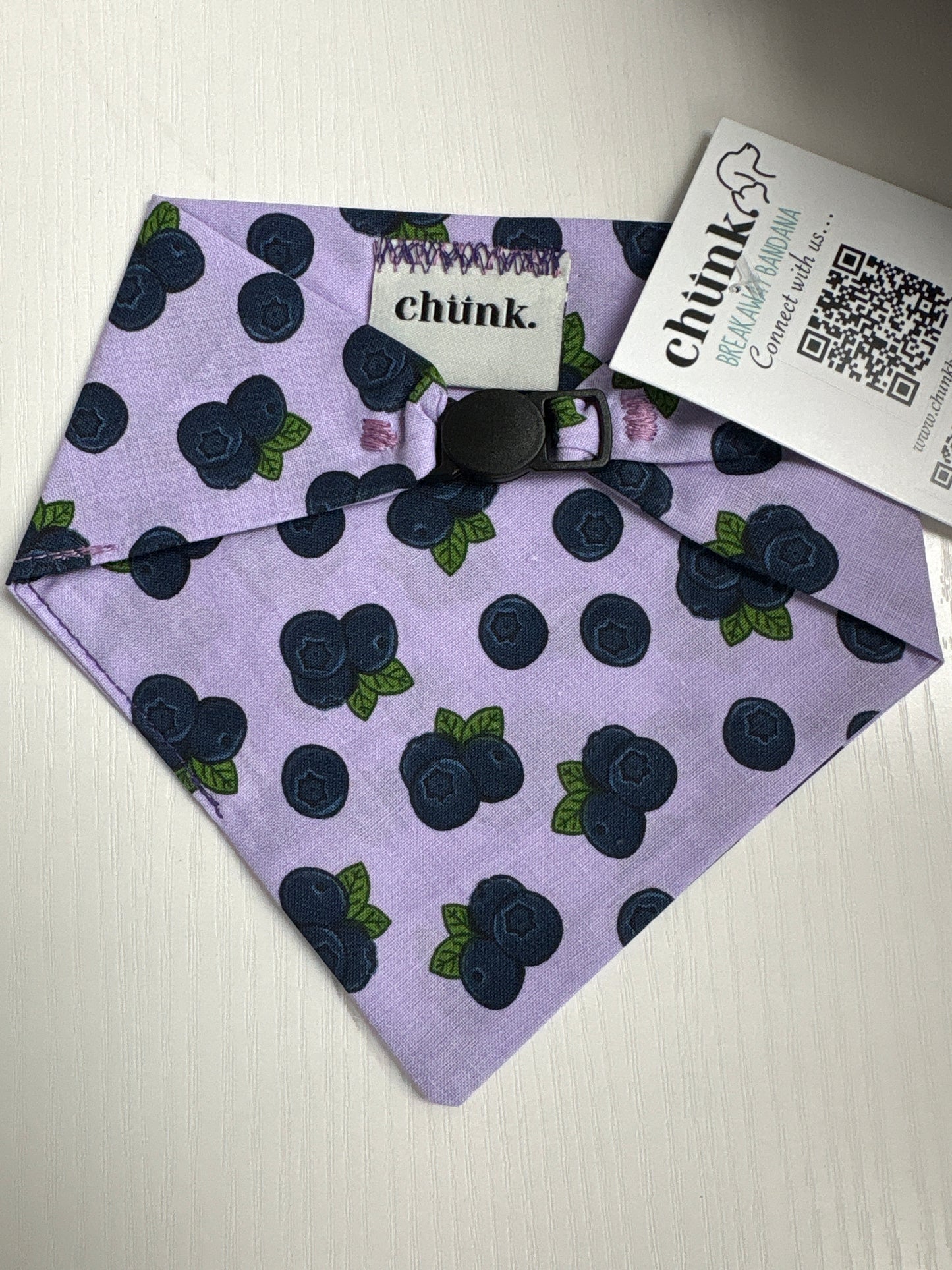 Blueberries on Purple