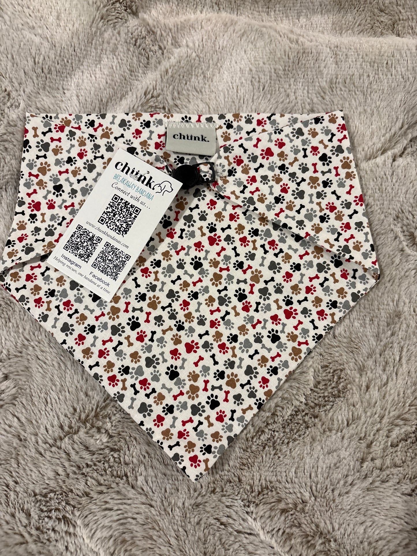 Paws and bones on white