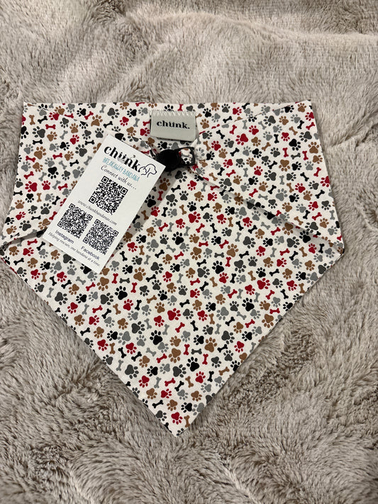 Paws and bones on white