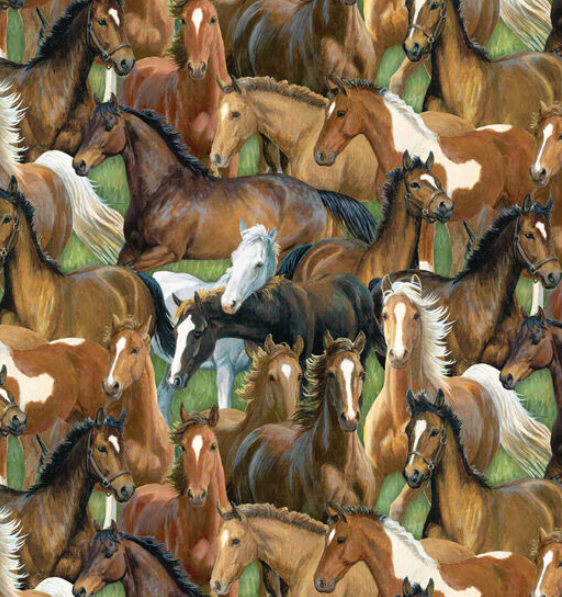 Dark Horses