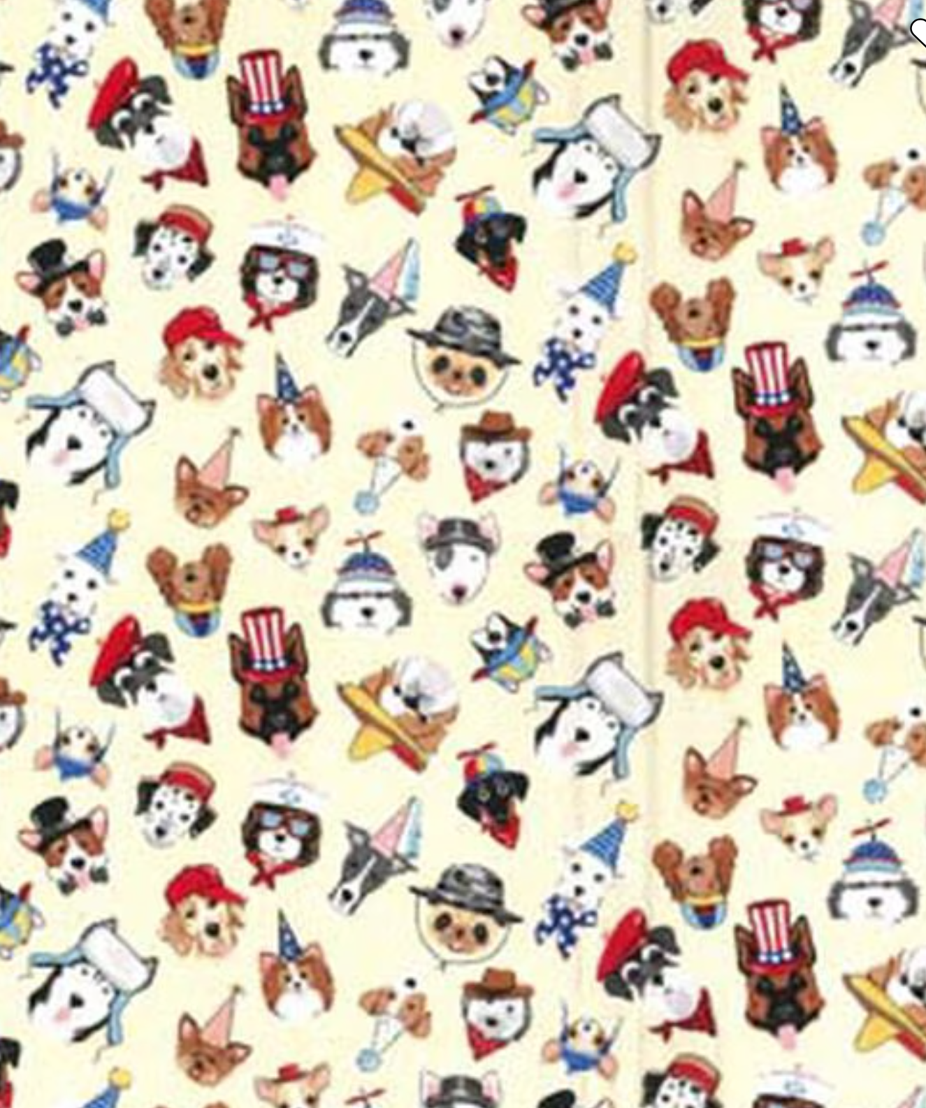 Dogs in Hats